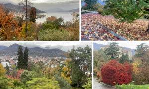 Schermata 2025 11 03 alle 08.22.40