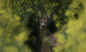 Screenshot 2024 10 20 alle 20.56.34