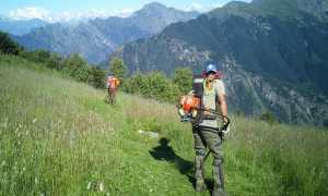 Sfalcio sentieri PNVG 2018
