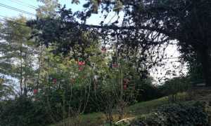 WhatsApp Image 2018 10 18 at 10.50.13