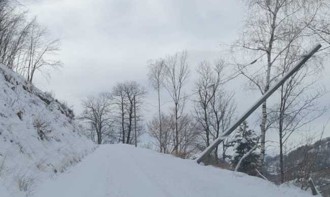 WhatsApp Image 2022 02 16 at 08.18.50