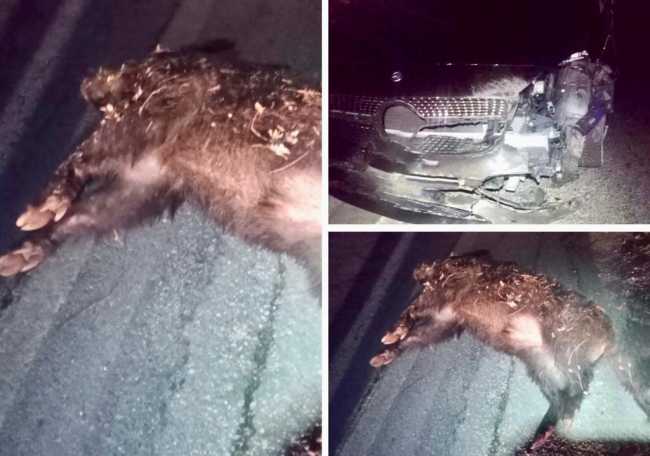 WhatsApp Image 2023 01 13 at 09.48.47