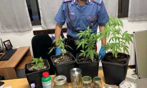 WhatsApp Image 2024 08 07 at 12.02.111