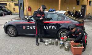 WhatsApp Image 2024 10 24 at 12.14.13