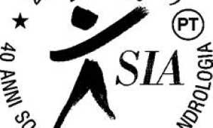 annullo filatelico stresa