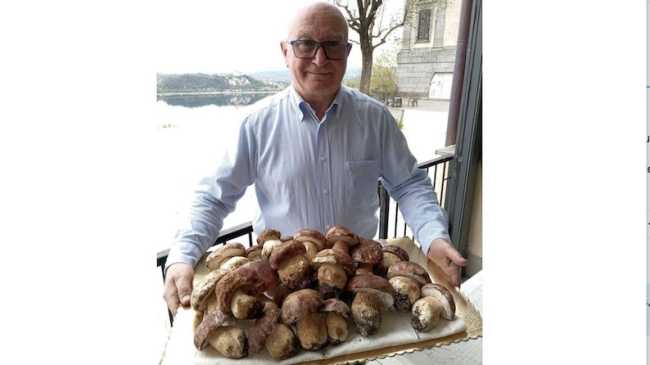 arona glicine al lago