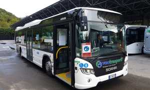 bus vco trasporti