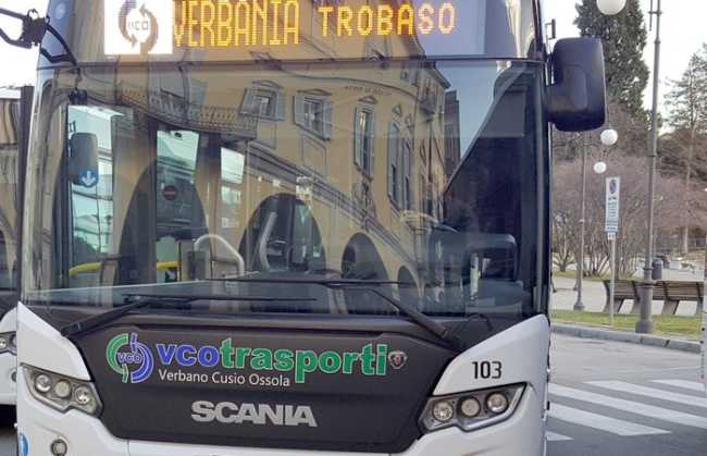 bus vco trasporti