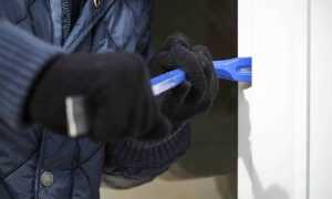 cacciatori 631546.660x368