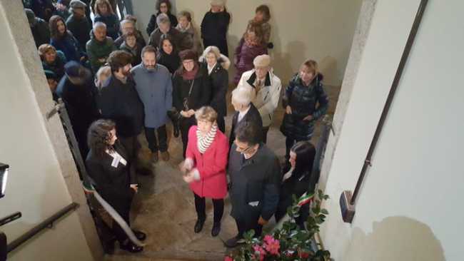 camelia invernale 1701