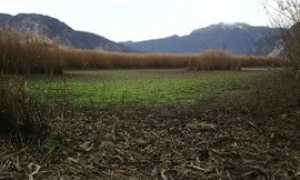 canneto fondotoce gennaio 16