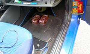 corta auto panetti ashish