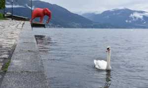 craking art00013 copia