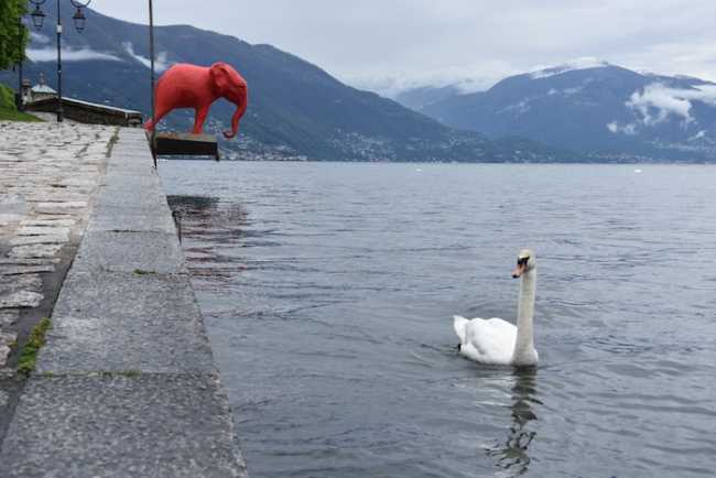 craking art00013 copia