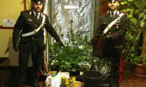 droga gen 17 vb carab