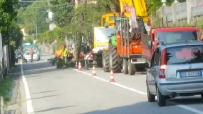 ghiffa ss34 lavori piante 1701