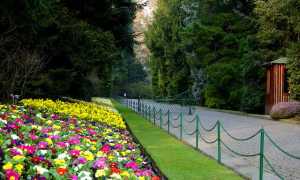 giardini villa taranto viale1