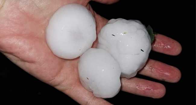 grandine locarno ago 23 4