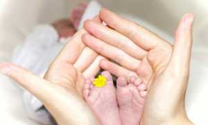 manuel schinner ZwjFuJ7ebpk unsplash