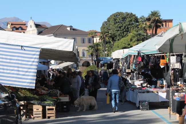 mercato pallanza copia