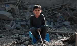 palestine 8012394 640