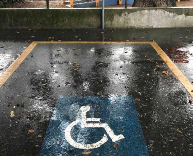park disabili