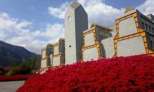 provincia vco primavera