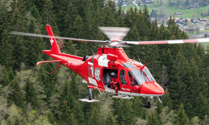 rega giorno estate sorvolo piante case