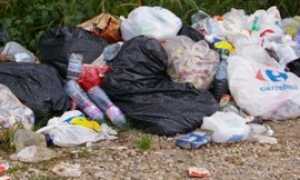 rifiuti abbandonati generico due