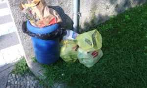 rifiuti disservizi cestino