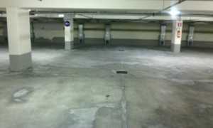 rosmini parL salnitro