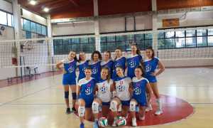 serie d rosaltiora maglia nuova