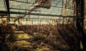 serra generica vuota