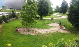 sgambatura cani parco