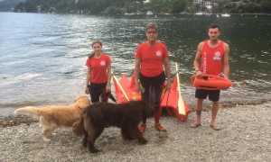 sogit cannero salvamento