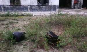 spazzatura ex restellini