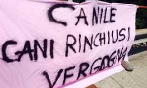 striscione canile verbania