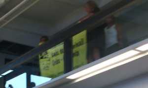 striscione rimosso amici animali