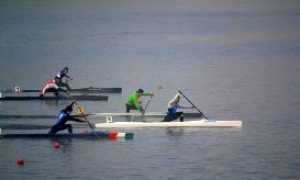 tacchini carlo mantova 16