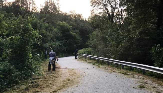 ungiasca