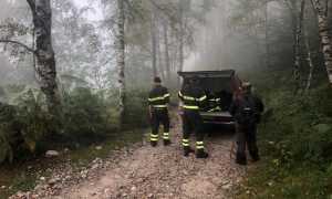 vdf fungiatt mottarone