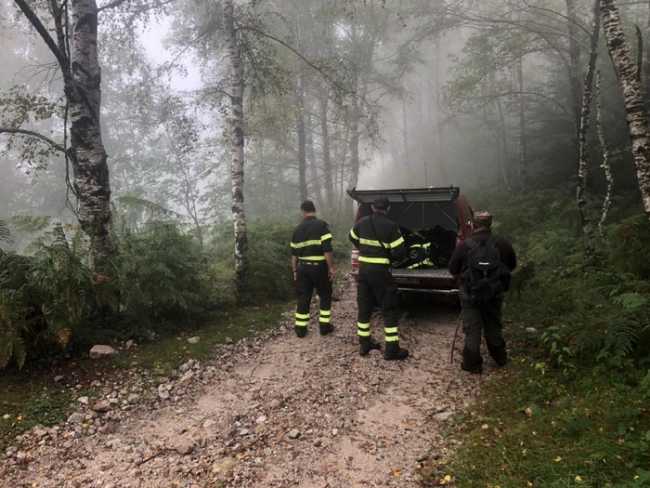 vdf fungiatt mottarone