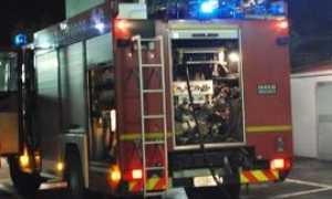 vdf generico genn 16