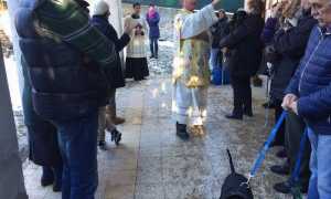 vedasco sant antonio01