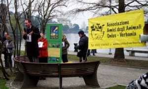verbania protesta canile 2015