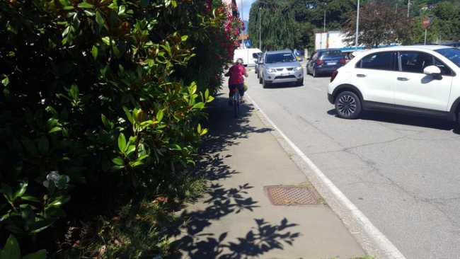 verde infestante trib 3