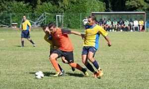 zanetti inter farmaci 2015