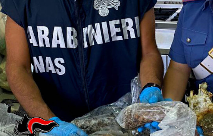 Controlli dei Nas: bar del Verbano multato di 3mila euro per carenze igieniche