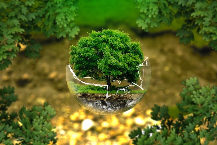 I giovani della pro loco di Lesa organizzano la prima giornata ecologica in paese