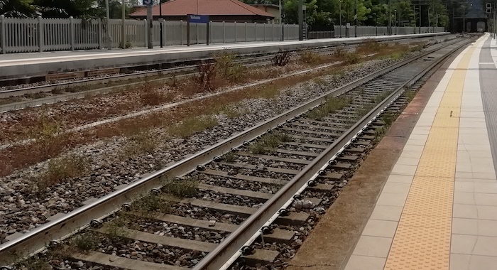 Ritardi e cancellazioni causa lavori: giornata nera sulla Domodossola - Milano 